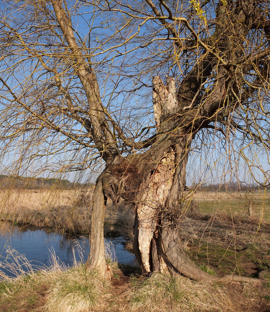 Durchblick