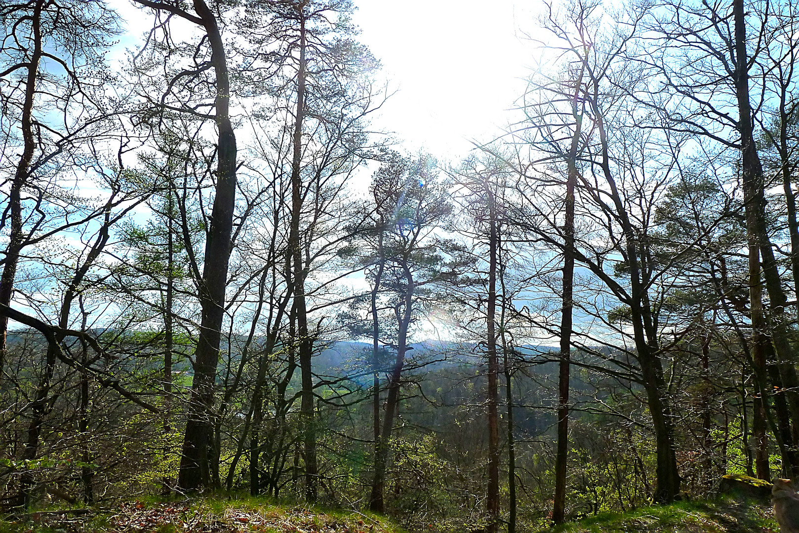 Durchblick Donnerstag