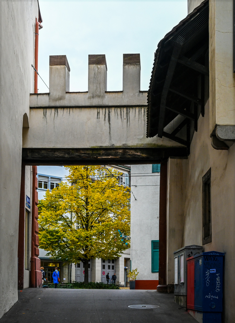 Durchblick - DSC_7148