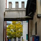 Durchblick - DSC_7148