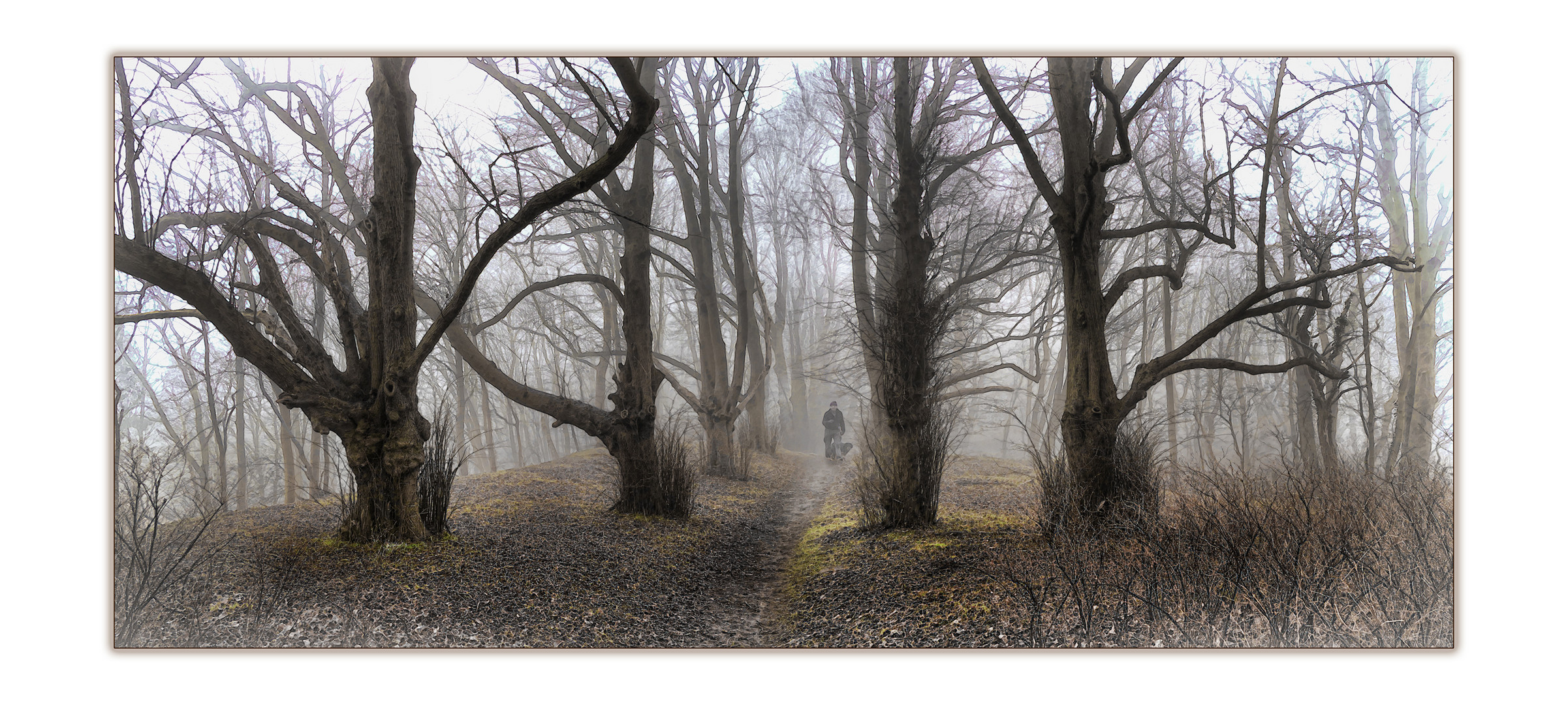 Durchblick durch die alte Allee