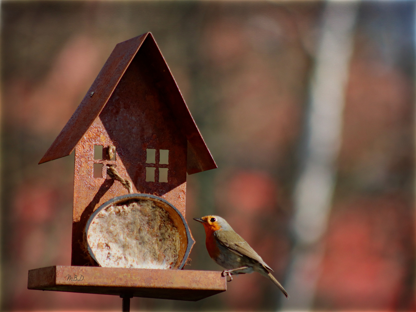 Durchblick durchs Futterhaus  ...