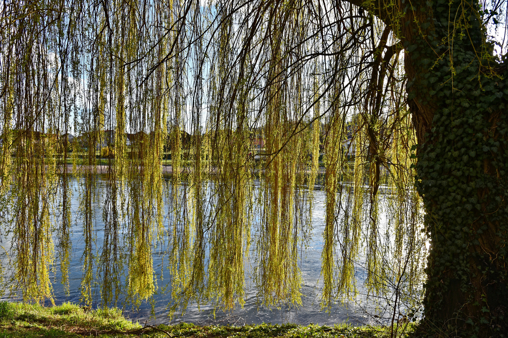 Durchblick