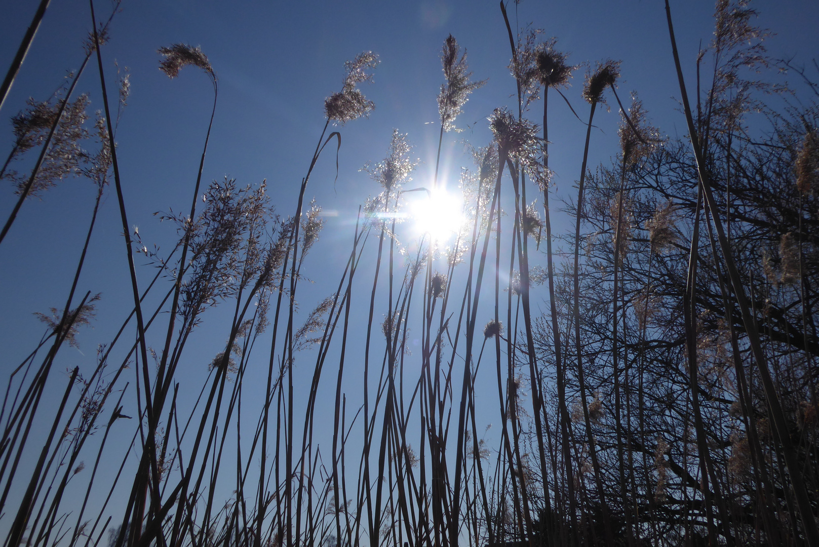 Durchblick für die Sonne