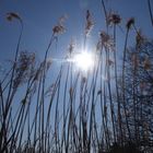 Durchblick für die Sonne