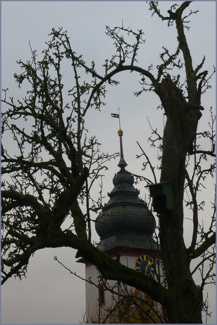 Durchblick-für-Donnerstag