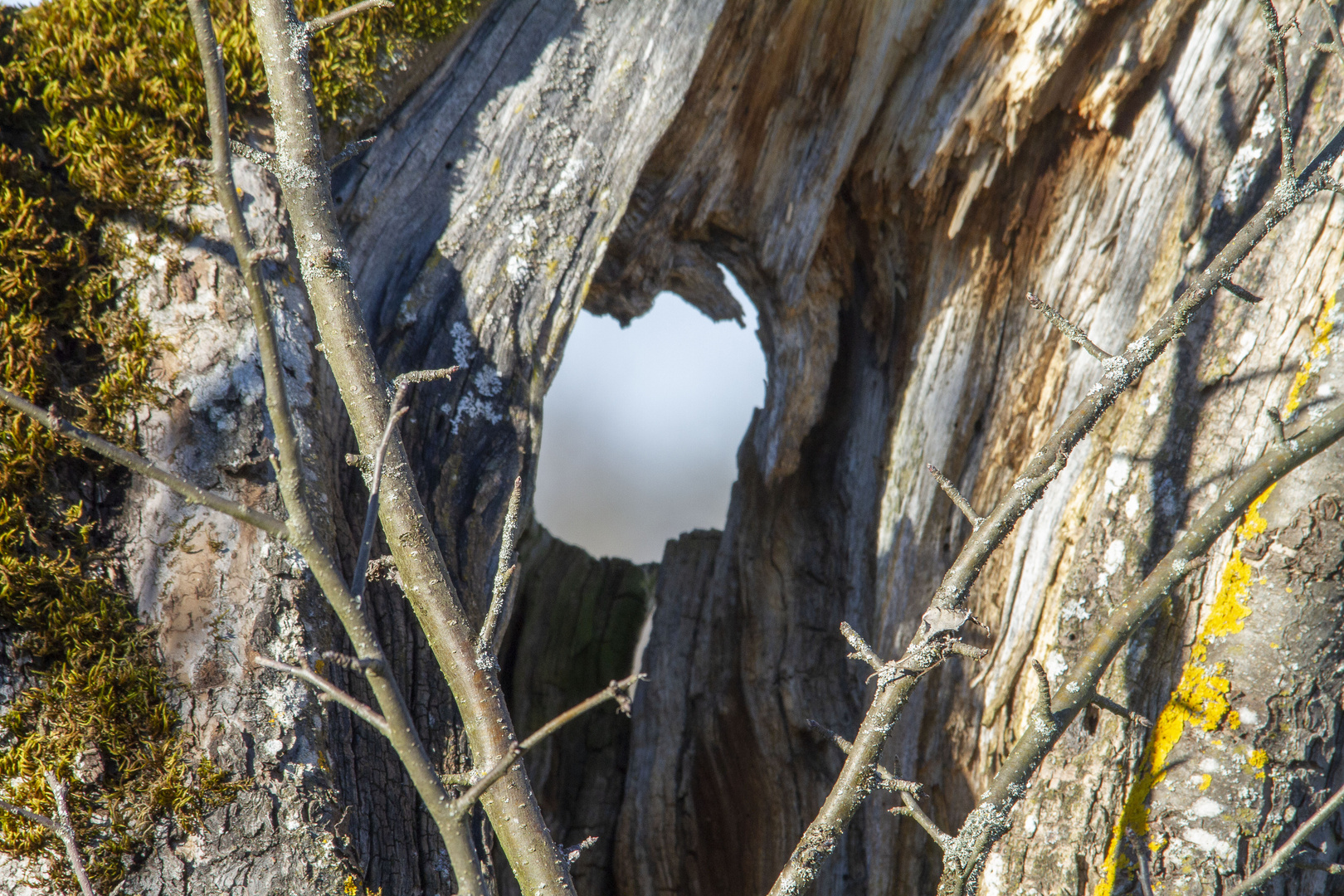 Durchblick - hat etwas gedauert  