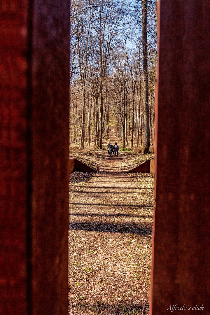 Durchblick Herzog-Karl-II-August-Pfad