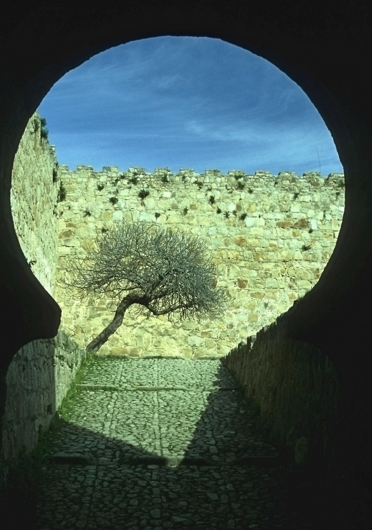 Durchblick - im Alcázar de Luis de Chaves