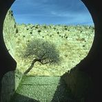 Durchblick - im Alcázar de Luis de Chaves