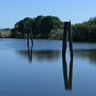 Durchblick im Alten Land - York