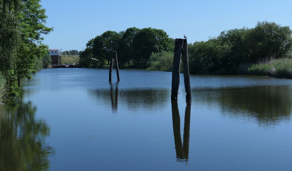 Durchblick im Alten Land - York