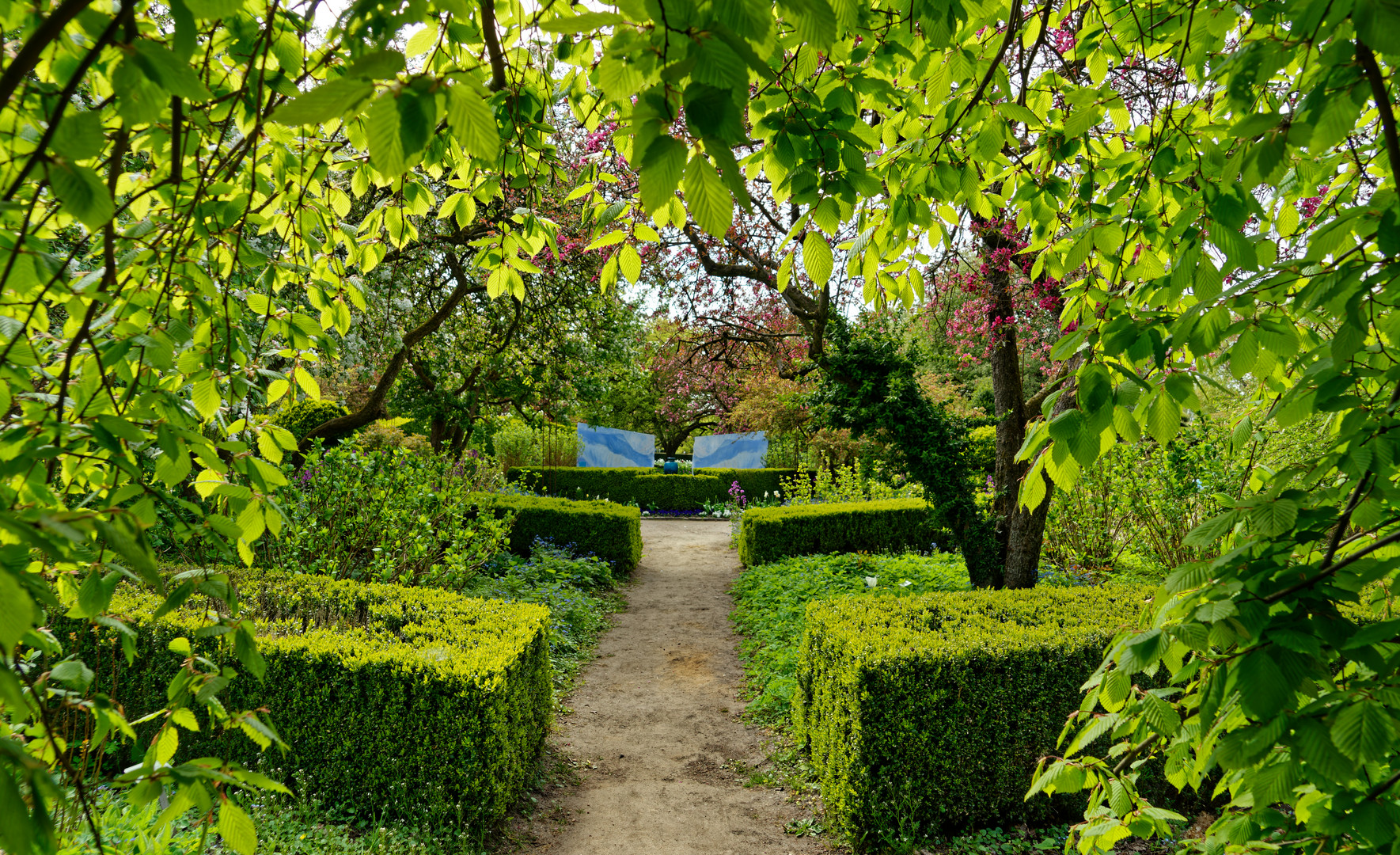 Durchblick im Arboretum