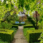 Durchblick im Arboretum