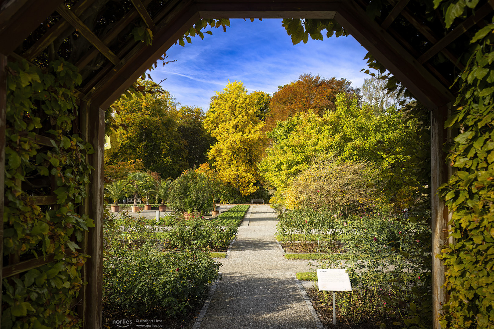 Durchblick im Botanischen Garten Augsburg