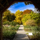 Durchblick im Botanischen Garten Augsburg