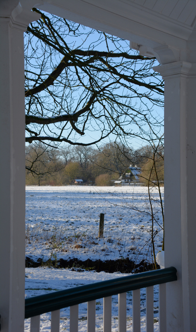 Durchblick im Bremer Bürgerpark