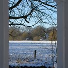 Durchblick im Bremer Bürgerpark