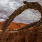 Durchblick im Dead Vlei