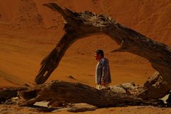 Durchblick im Dead Vlei