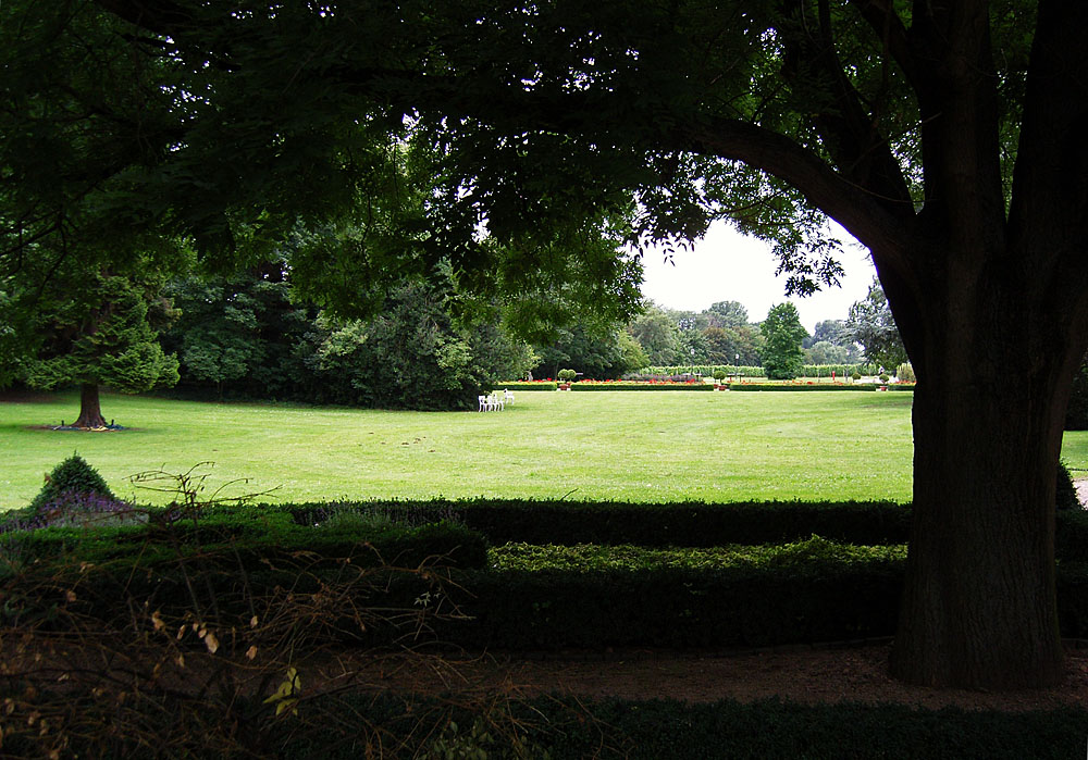  Durchblick: Im Garten vom Kloster Eberbach