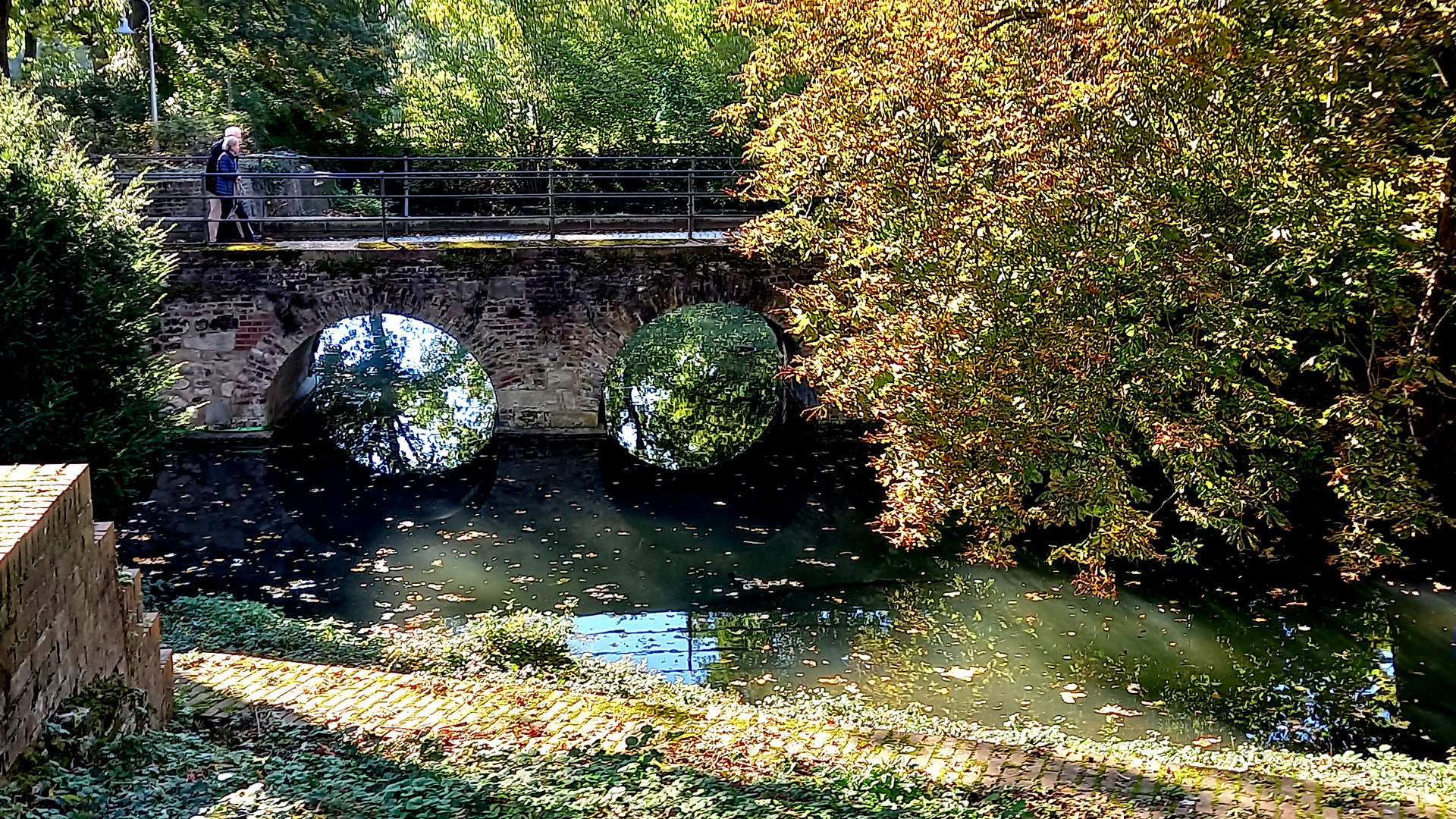 Durchblick im Herbst