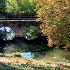 Durchblick im Herbst