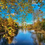 Durchblick im Herbst