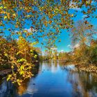 Durchblick im Herbst