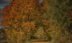 Durchblick im Herbstfarbenrausch