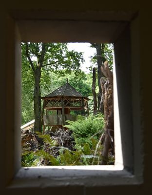 Durchblick im neu angelegten Farntal im Schloßpark ARCEN