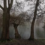 Durchblick im Park