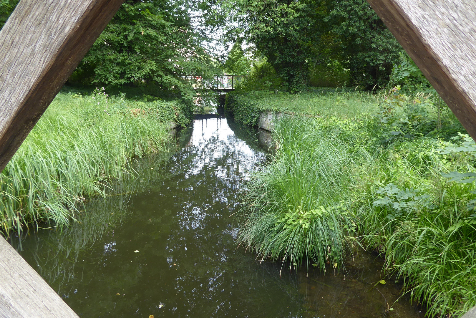 Durchblick im Park Charlottenburg