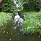 Durchblick im Park Charlottenburg