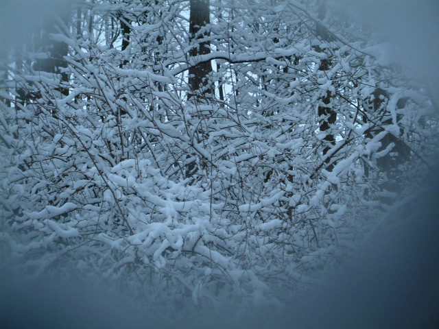 Durchblick im Schnee