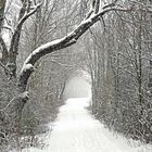 Durchblick im Schneefall