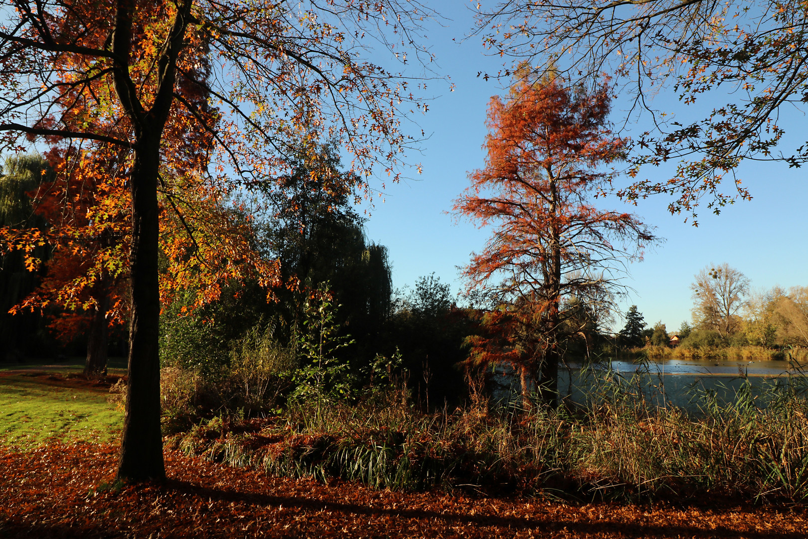 Durchblick im Schulgarten