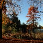 Durchblick im Schulgarten