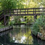 Durchblick im Spreewald