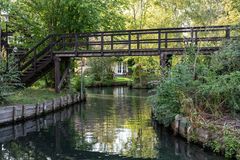 Durchblick im Spreewald