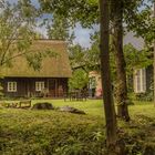 DURCHBLICK IM SPREEWALD