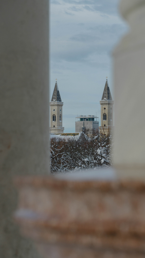 Durchblick im Winter