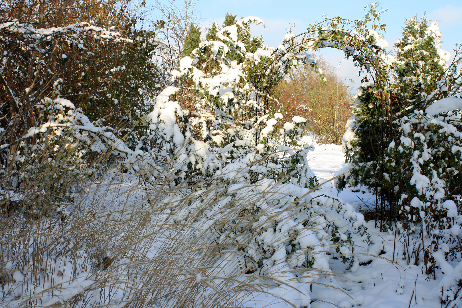 Durchblick im winterlichen Garten