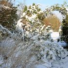 Durchblick im winterlichen Garten