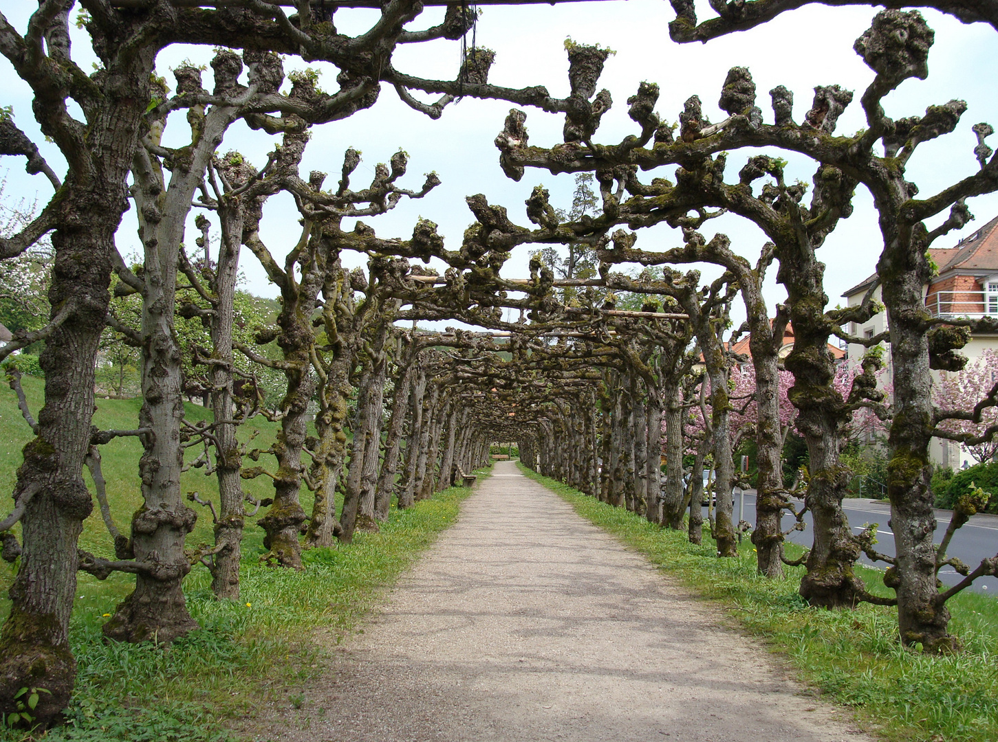 Durchblick-in-Bad-Brückenau-