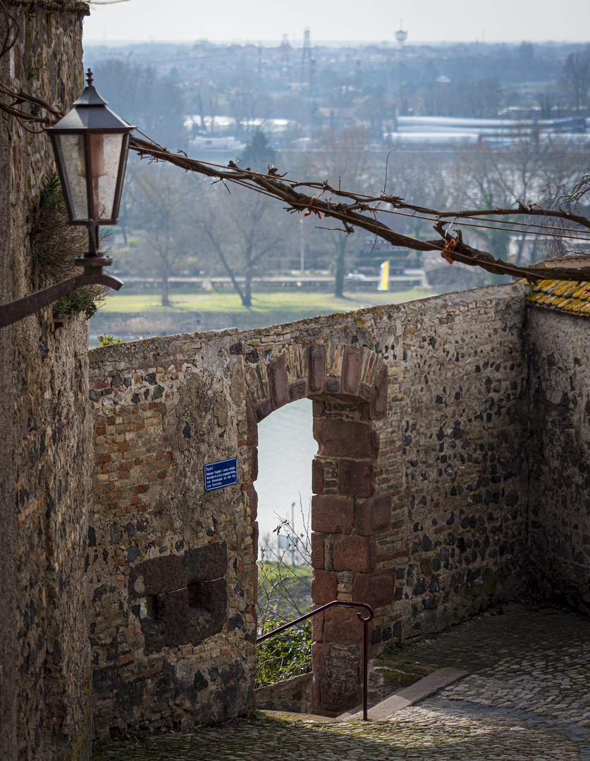 Durchblick in Breisach