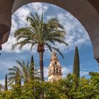 Durchblick in Cordoba