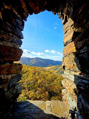 Durchblick in den Herbst