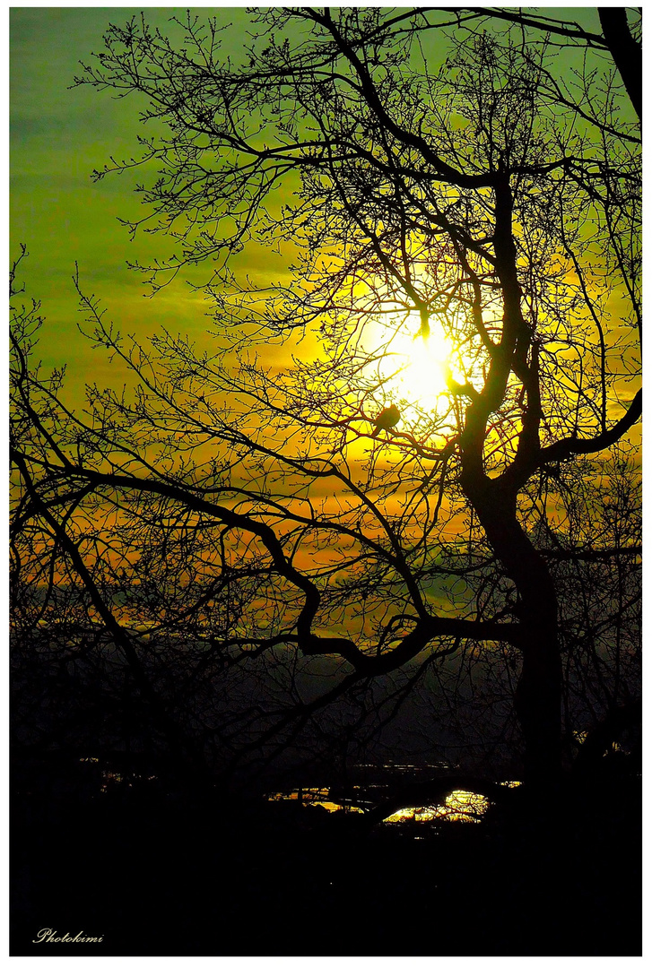 Durchblick in den Morgenhimmel 