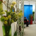 Durchblick-in-der-Blumenausstellung-